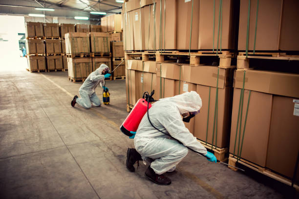 Best Mosquito Control Services  in Terryville, CT