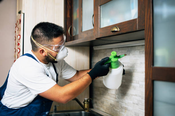 Trusted Terryville, CT Pest Control Experts