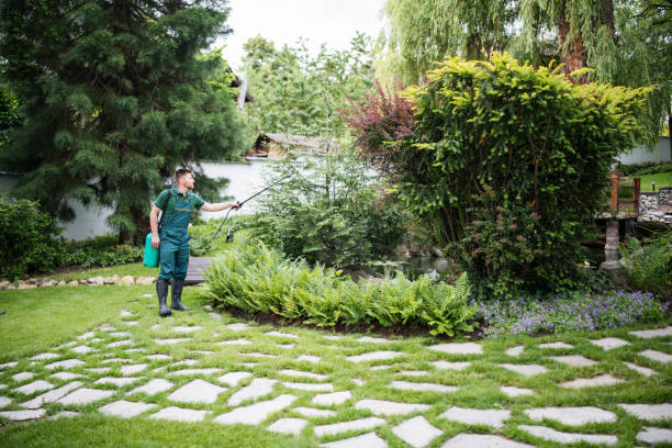 Best Best Pest Control Companies  in Terryville, CT